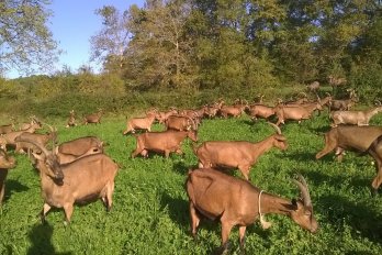 Ferme des Bernards