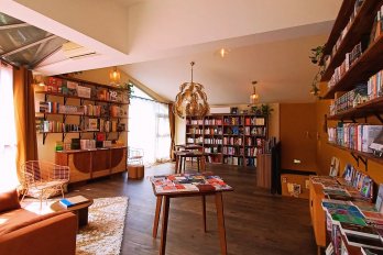 Librairie Fauve