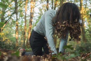 La nuit des forêts